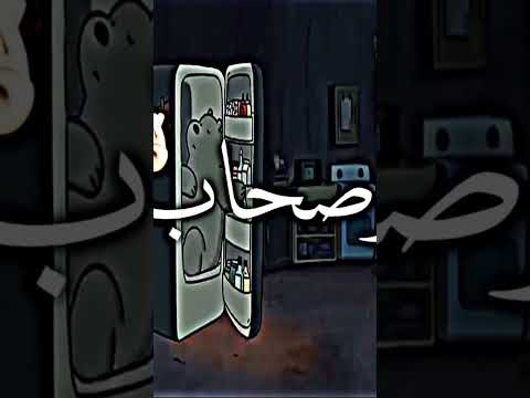 مهرجان صحابي في الشده 2 في المصلحه بيبوم 2000 حالات واتس