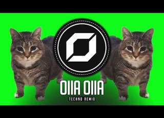  TECHNO OIIA OIIA MEME CAT Luca Dante Spadafora X Noisetime Remix