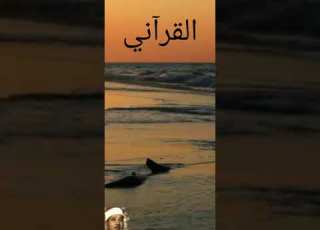 سورة التكاثر عبدالباسط عبدالصمد مرتل Surah Al Takathur Abdul Basit Abdul Samad Mortal