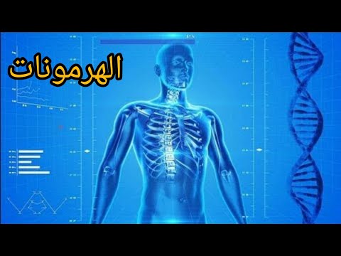 الهرمونات وتأثيرها على جسم الإنسان التنظيم الهرموني في الانسان الهرمونات وتأثيرها على جسم الإنسان التنظيم الهرموني في الانسان