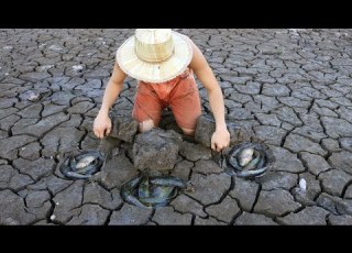  Dry Season Fishing Underground 2020 Catfish In Season Dry