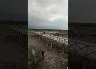 بیابیابیا