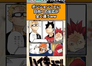  ポジションごとに日向への反応が全く違うww ハイキュー ハイキュー反応集 Shorts