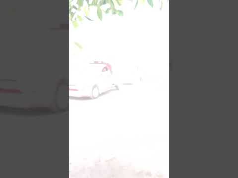 دمار دمار 6 عفشة عروسة ال عبدالواحد بنى هلال المراغه سوهاج 3