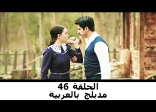  مدبلج بالعربية الحلقة 46 طائر النمنمة