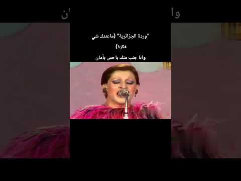 وردة الجزائرية ماعندك شي فكرة وانا جنب منك باحس بأمان وردة الجزائرية ماعندك شي فكرة وانا جنب منك باحس بأمان