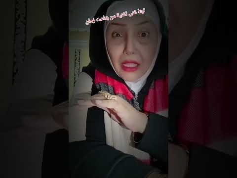أنا فايف ستار على كوكبى اكسبلور مهرجانات