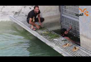 وكيل البلديات للمربد تعيين كادر جديد باجر يومي في مشروع الـR Zero