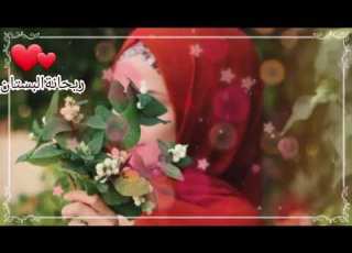 حالات واتساب جديد على اي حال الله كال الحب حلال 2020