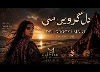  Del Mani Gervi دل منی گروي New Omani Balochi Song 2026 Malorani Studio
