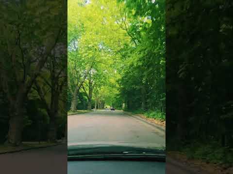 فيروز يارب تزيد خيرك وتعيد