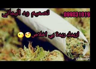 حالات سيف الدين الدامر