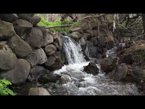 فيروز احكيلي احكيلي عن بلدي احكيلي صور من قرية عين فيت الجولان المحتل فيروز احكيلي احكيلي عن بلدي احكيلي صور من قرية عين فيت الجولان المحتل