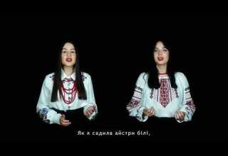 В саду осіннім айстри білі