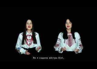 В саду осіннім айстри білі