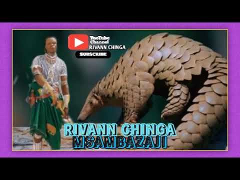 2026 JIMINOGENI DOTO MDENDELA NSHISHI NOLO OFFICIAL AUDIO By Rama Macompyuta Mpya