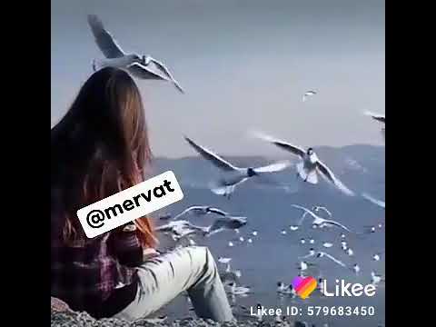 صبر الايوب ياطير