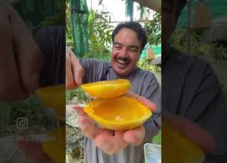  يوسف الحمراشدي مشتل الرستاق