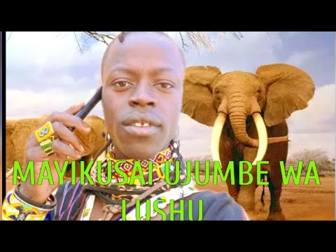 MAYIKUSAI UJUMBE WA MACHIMU MBASHA STUDIO 25 6 2022 MAYIKUSAI UJUMBE WA MACHIMU MBASHA STUDIO 25 6 2022