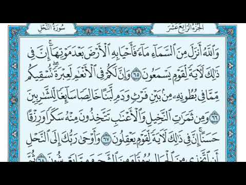 سورة النحل ٦٥ ٧٢ 65 72