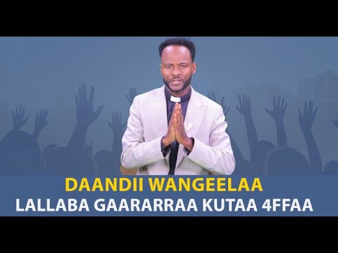 Lallaba Gaararraa Kutaa 4ffaa Daandii Wangeelaa Luba Garramuu Jaallataan Lallaba Gaararraa Kutaa 4ffaa Daandii Wangeelaa Luba Garramuu Jaallataan