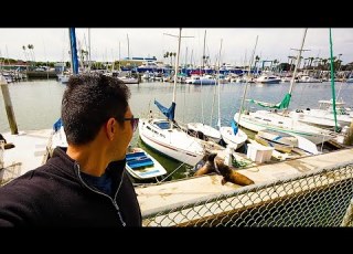  Pros And Cons Of Living In Marina Del Rey