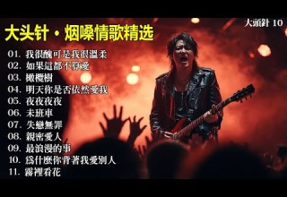 大頭針9 大头针 烟嗓情歌精选 那些年我们听到心碎的歌 翻唱合集 我很醜可是我很溫柔 如果這都不算愛 橄欖樹 明天你是否依然愛我 夜夜夜夜 未班車 失戀無罪