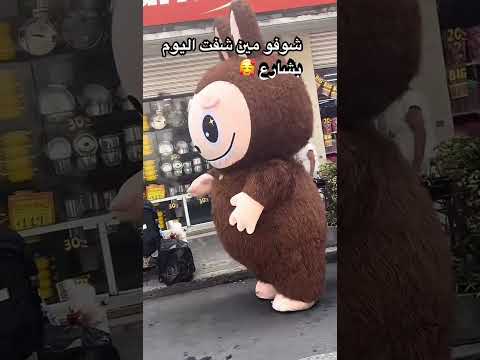 لابوبو كبير في شارع لايك ومتابعه