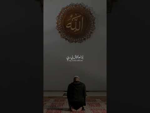 بكة عيني على دنبي