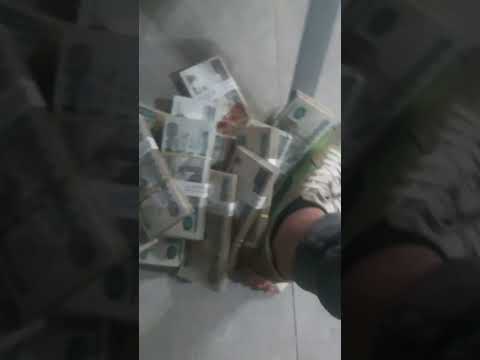 غاب الملك من الغابة يوم علشان يعيش فى هدوء للاسف لقا فى قرود