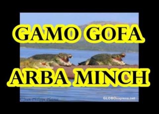 Gamo Gofa Arba Minch City Image