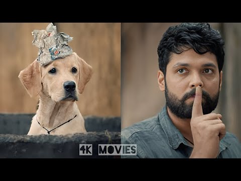 شخص عنيف بيكره الكلاب وبيجيله كلب بيغير حياته I ملخص فيلم 777 Charlie شخص عنيف بيكره الكلاب وبيجيله كلب بيغير حياته I ملخص فيلم 777 Charlie