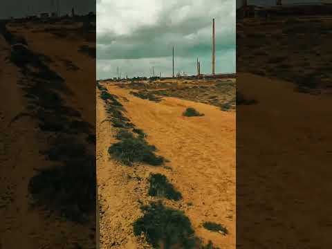 يلا سلام افيلقو