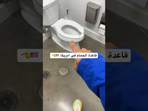 قاعدة الحمام في امريكا