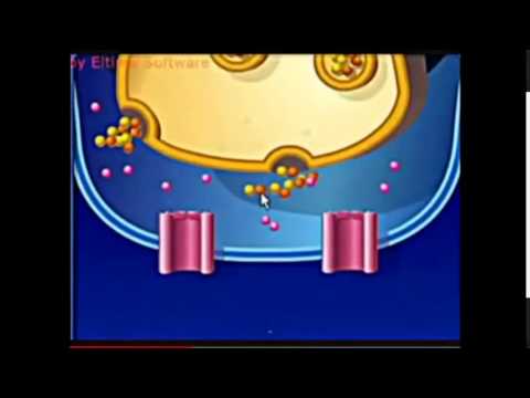 انتقال السيال العصبي خلال التشابك العصبي انتقال السيال العصبي خلال التشابك العصبي