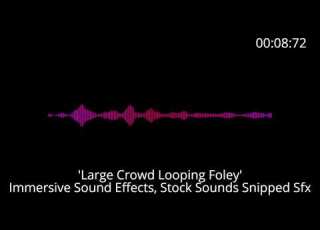 Immersive Sound Effects Large Crowd Looping Foley
