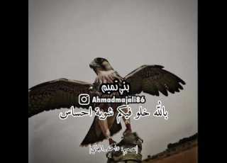 اكثر بلاوي الناس من اعين الناس احمد المجالي
