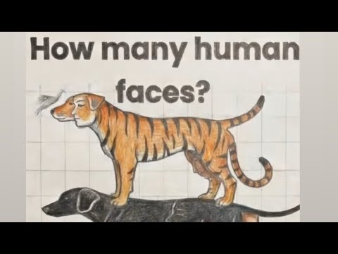 How Many Humans Faces