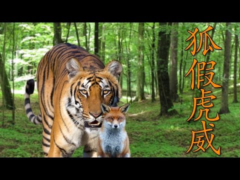 The Fox Borrows The Tiger S Prowess 4 Character Saying Learn Chinese Now