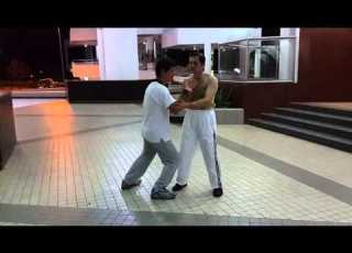 太極拳推手發勁研究 趙堡太極拳發勁研究中心 Zhao Bao Tai Chi Master Chong Meng Kai