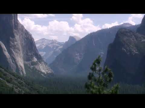 موسيقى الصمت المتكلم