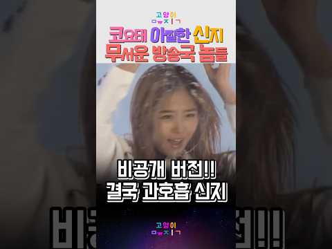 코요태 아찔한 신지 무서운 방송국 놈들 Kpop 코요태 레트로 뮤직 예능 노래 코요태 아찔한 신지 무서운 방송국 놈들 Kpop 코요태 레트로 뮤직 예능 노래