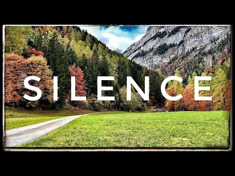 Silence 4 Hours Of Nothing Quiet Ambience Sound Effect Soft Wind Study Mountain 308
