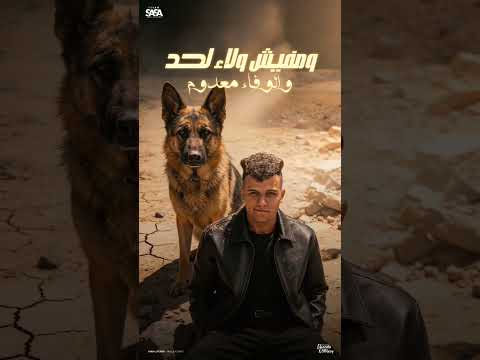 قريبا سوق الكلاب ده عنده صنف اسمه اصحاب عصام صاصا الكروان عصام صاصا