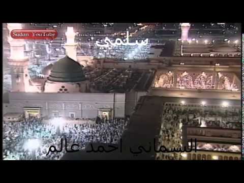 السماني احمد عالم سلمي