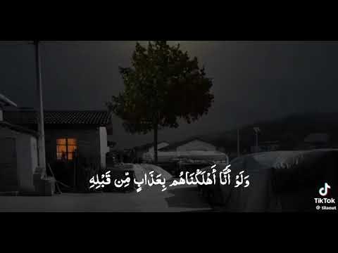 2 فبراير 2025 2 فبراير 2025