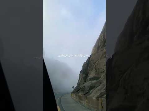 طالت مسافاتي عباس ابراهيم