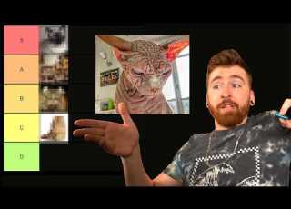 Cats Tier List