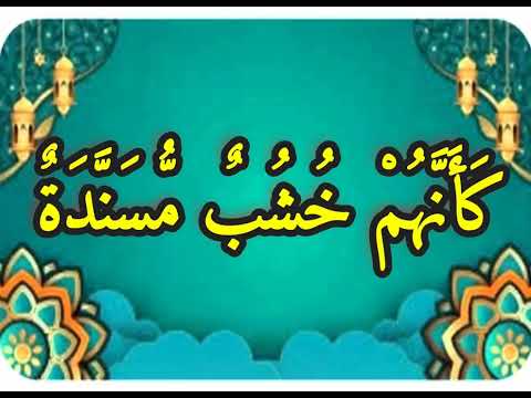 تحطيم العارض ك أ ن ه م خ ش ب م س ن د ة بصوت فضيلة الشيخ اشرف السيد