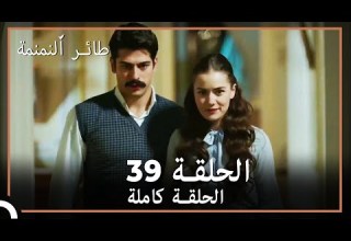 39 طائر النمنمة الحلقة